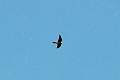 26 05 15_4504_edited-1